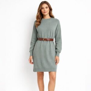 NWT Scoop Sage Green Knit Sweater Dress Long Sleeve Crew Neck Soft Midi Dress